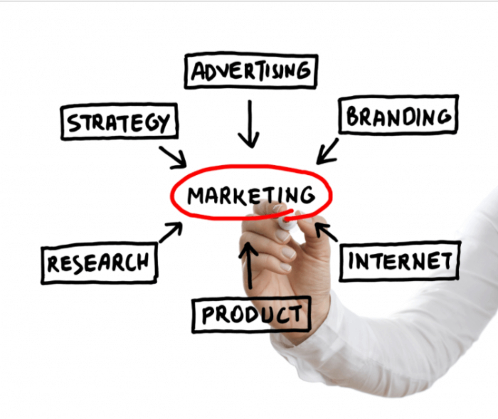 Học Marketing gồm những chuyên ngành nào