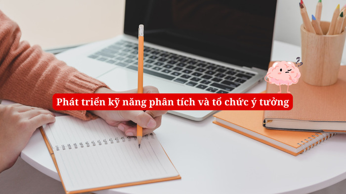 Cách sử dụng bài mẫu Writing Task 2 để nâng band IELTS Writing