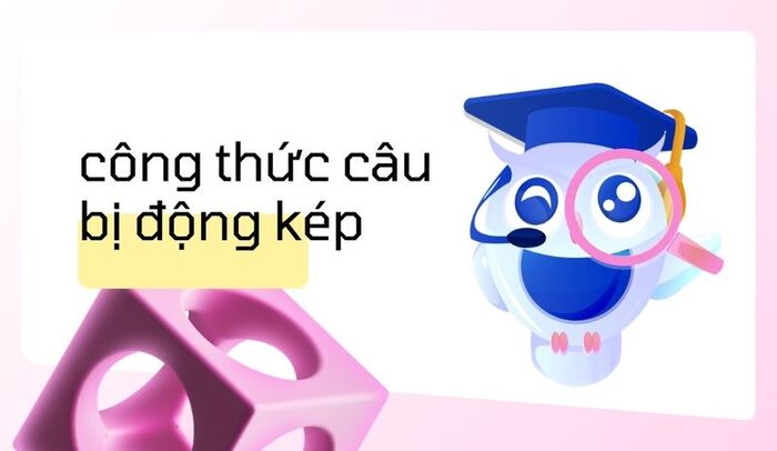 Câu bản định ngữ và thành ngữ phổ biến trong tiếng Việt