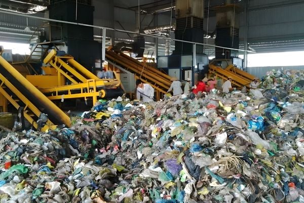 Ngộ độc thực phẩm nên làm gì? Hướng dẫn chi tiết để xử lý kịp thời