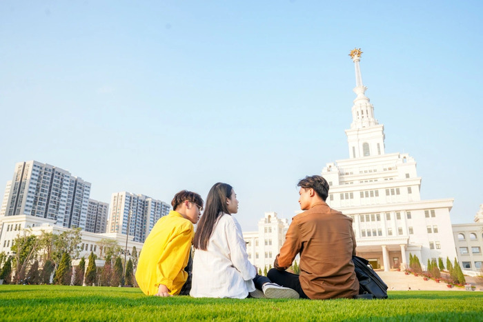 Scheme trong Marketing là gì? Một số loại Scheme phổ biến